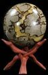 Polished Septarian Sphere - lbs #43787-2
